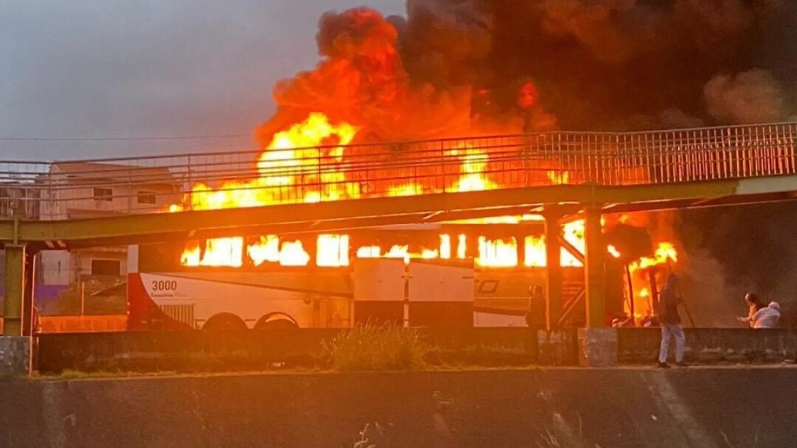 Palmeiras e Cruzeiro: Confronto entre torcidas organizadas deixa 1 morto e 17 feridos em São Paulo