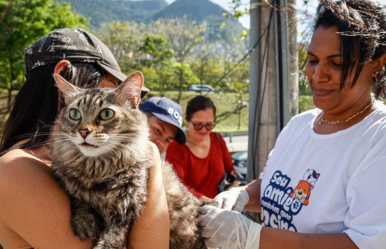 Neste sábado (9), Rio encerra campanha de vacinação antirrábica, na Zona Oeste