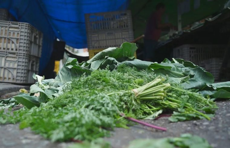 Brasil ocupa 10ª posição no ranking global de desperdício de alimentos, diz ONU