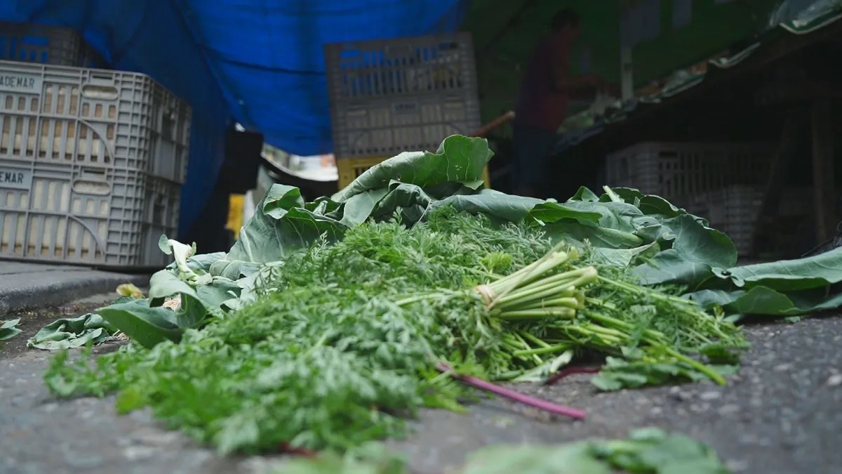 Brasil ocupa 10ª posição no ranking global de desperdício de alimentos, diz ONU