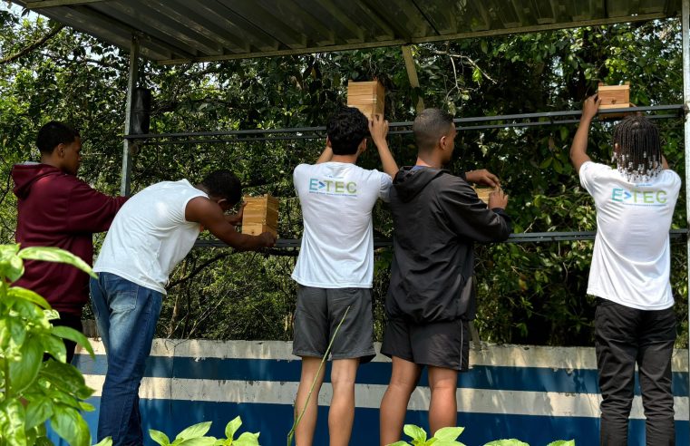 Estudantes da rede estadual em Magé criam meliponário para proteger abelhas nativas e incentivar sustentabilidade