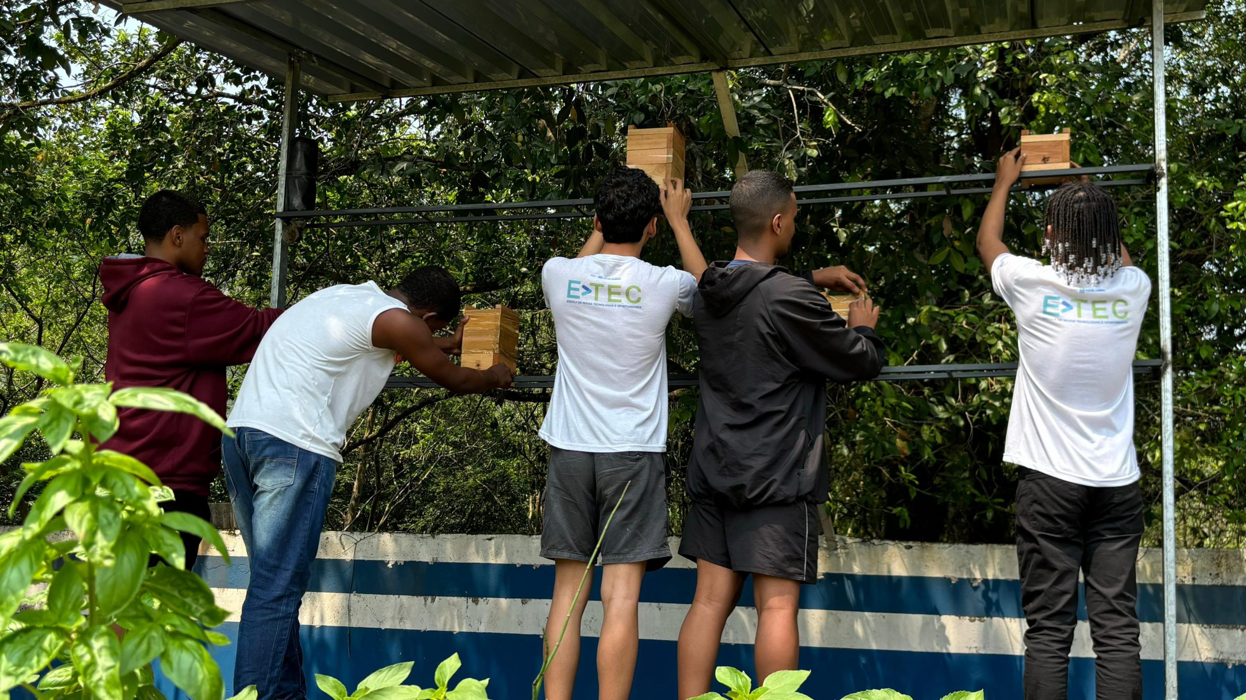 Estudantes da rede estadual em Magé criam meliponário para proteger abelhas nativas e incentivar sustentabilidade