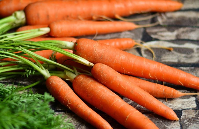 EUA ordenam recolhimento de cenouras após contaminação da bactéria E-Coli