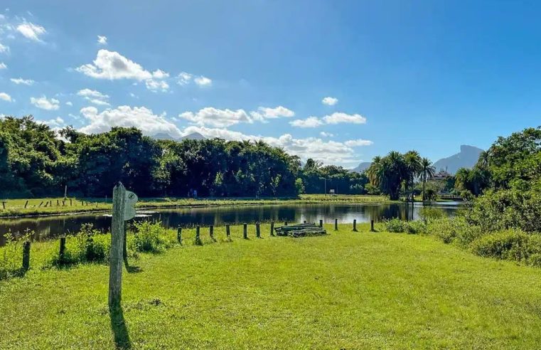 Alerj realiza audiência pública para discutir equilíbrio ambiental do Bosque da Barra nesta segunda (25)