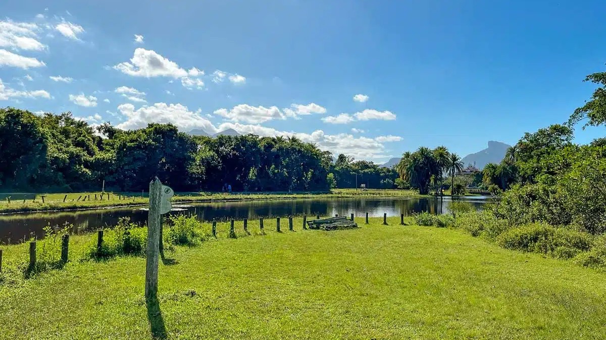 Alerj realiza audiência pública para discutir equilíbrio ambiental do Bosque da Barra nesta segunda (25)