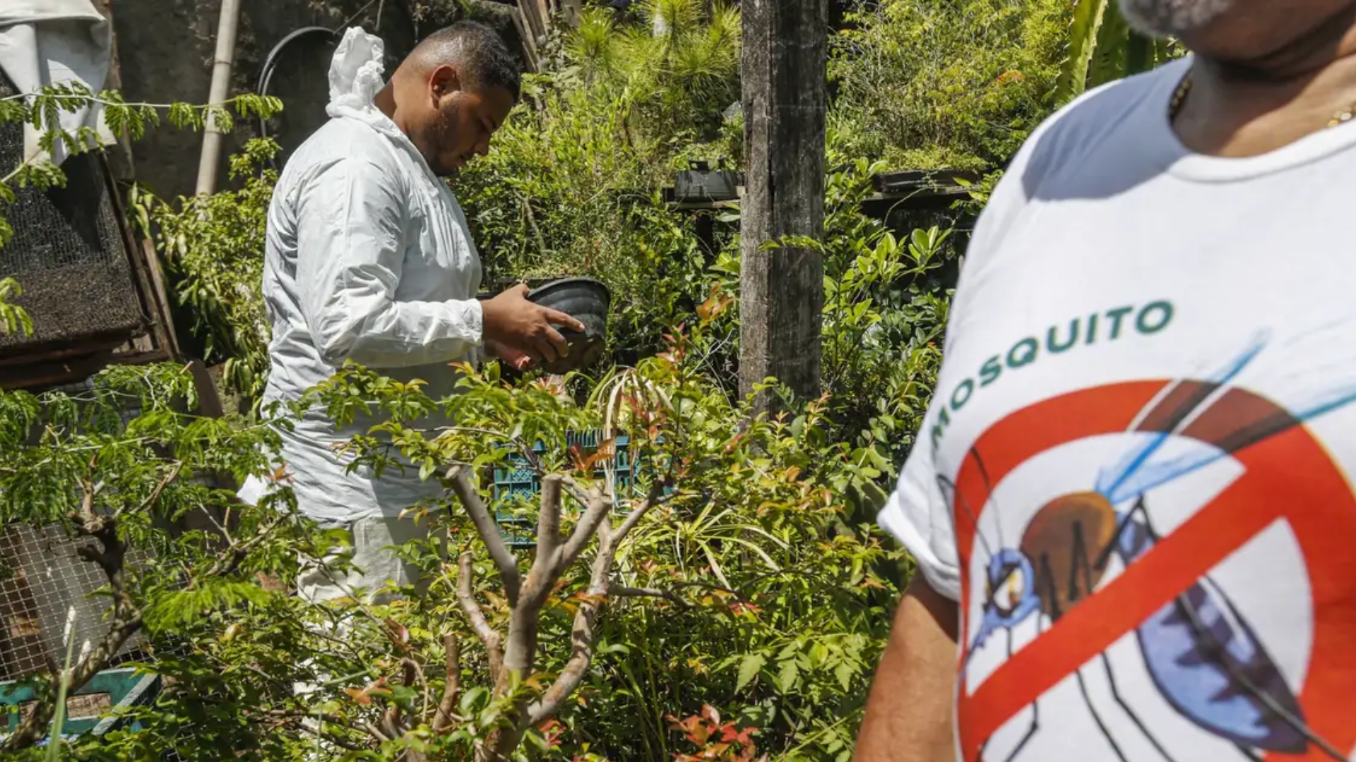 Dia D contra dengue promove ações de conscientização em todo o Brasil