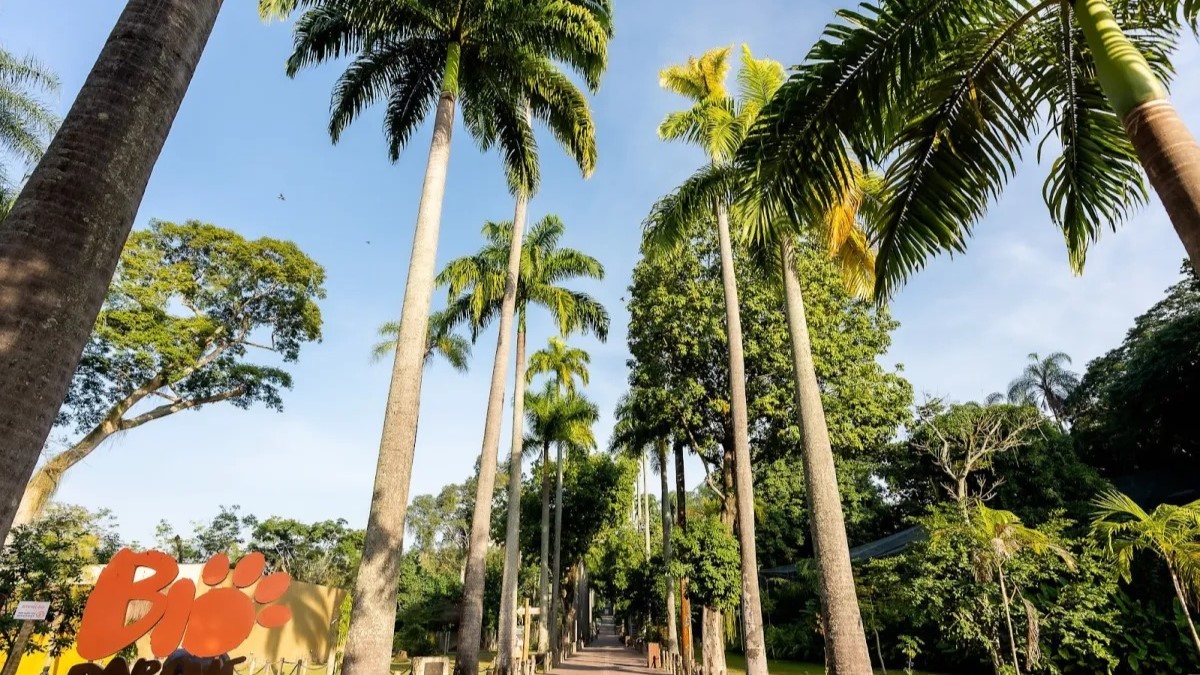 BioParque do Rio oferece ingressos promocionais para fim do ano