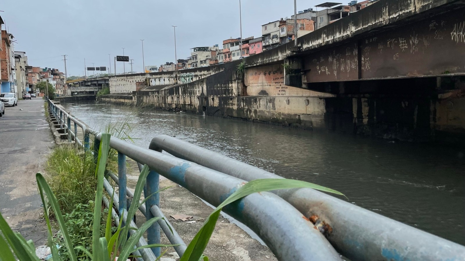 Chuva provoca queda de árvores e forma bolsões d’água no Rio