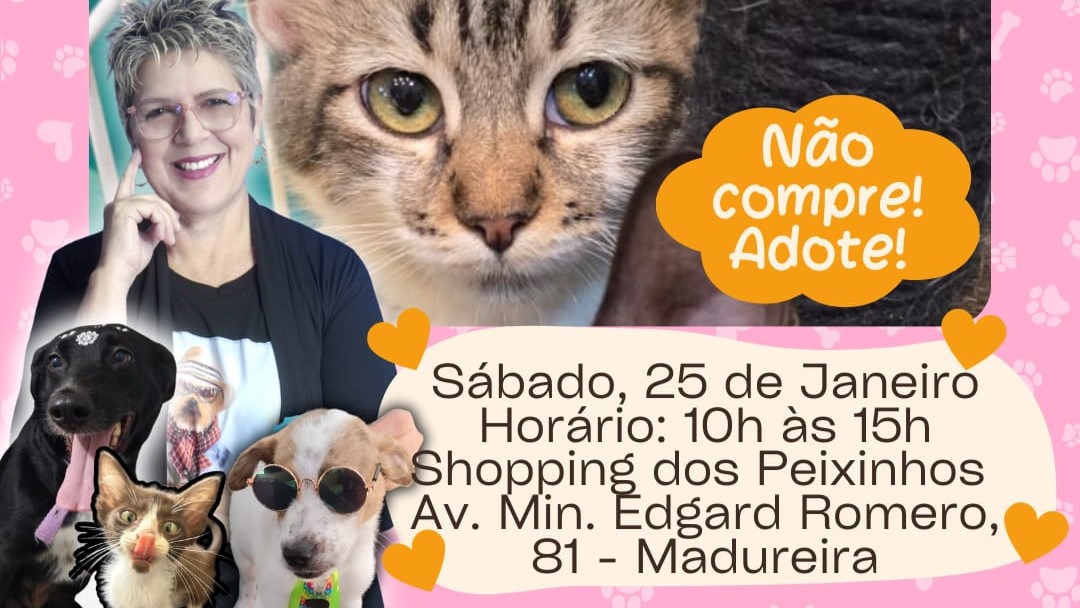 ONG Bichinho Feliz organiza campanha de adoção no Shopping dos Peixinhos neste sábado (25)