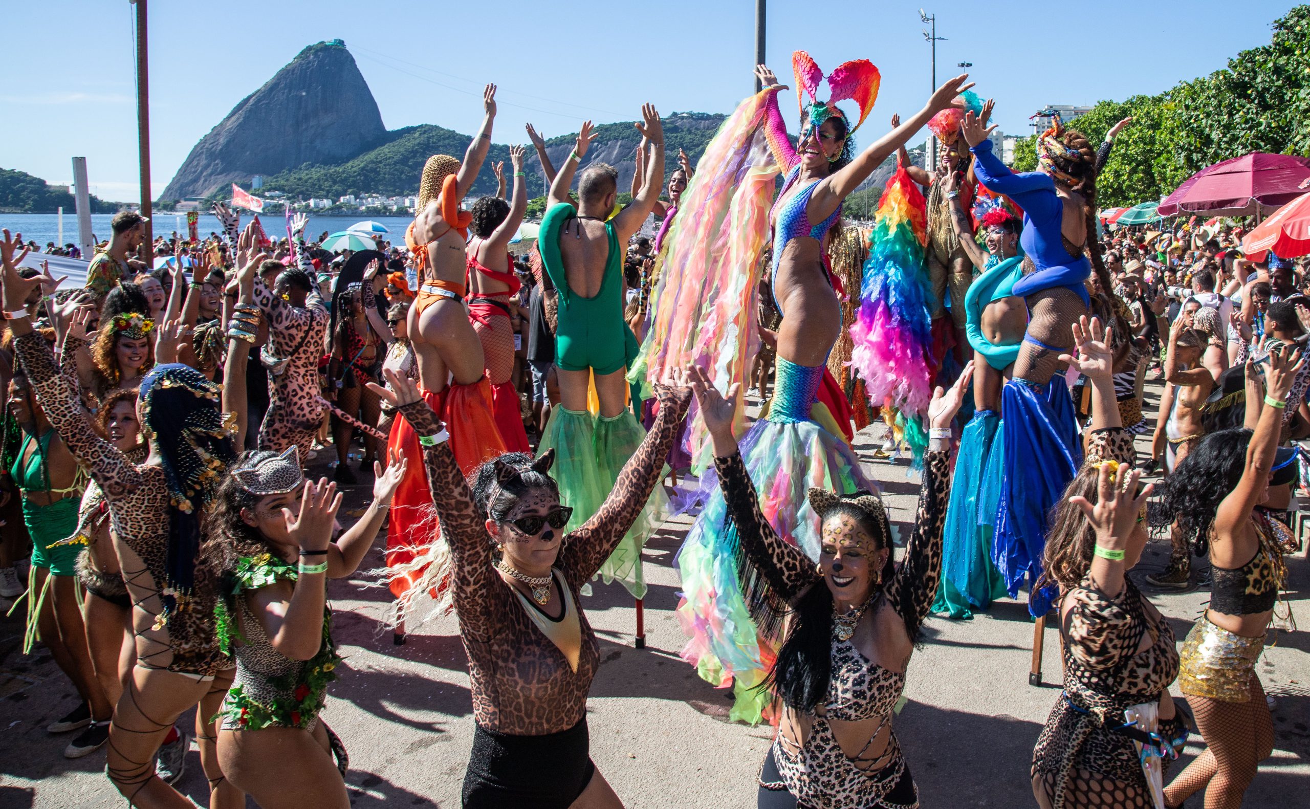 Riotur estabelece novas regras para apoio financeiro e captação de patrocínios dos blocos de rua do carnaval carioca