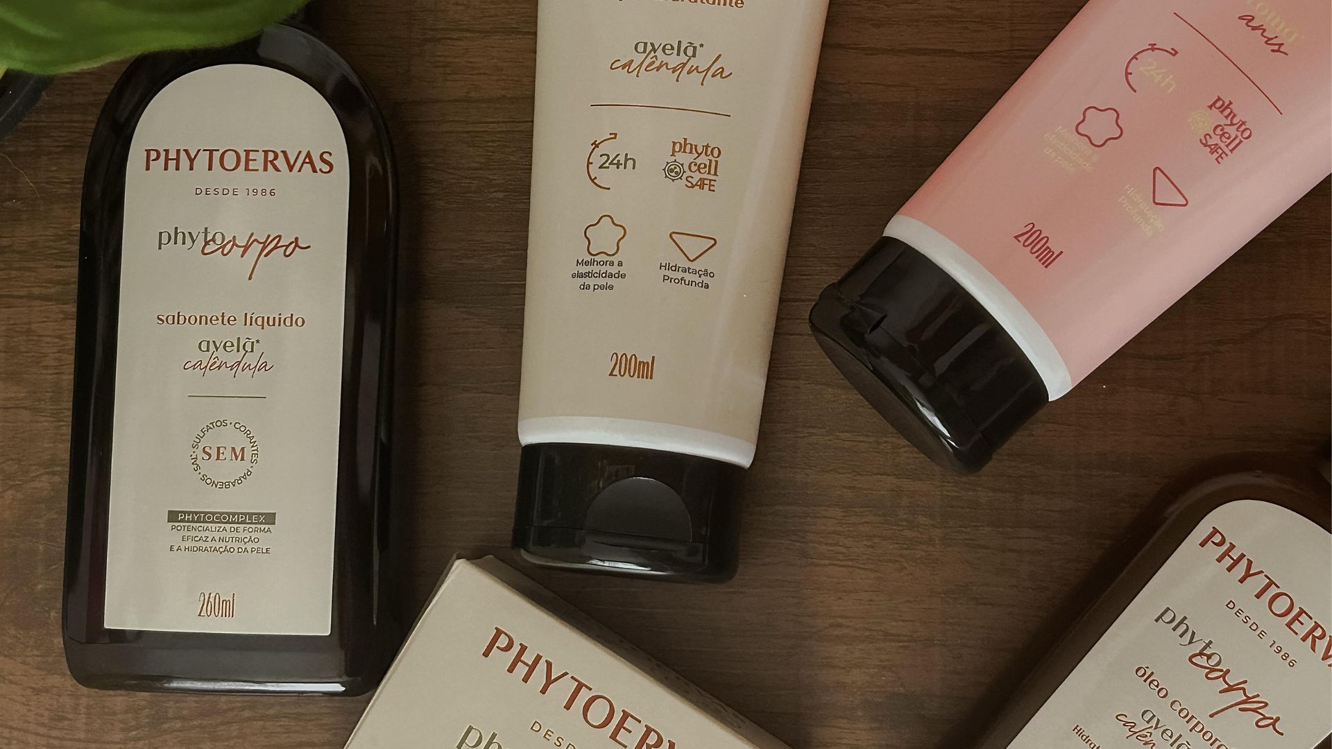 Phytoervas apresenta nova linha Phyto Corpo em evento exclusivo nas areias de Copacabana