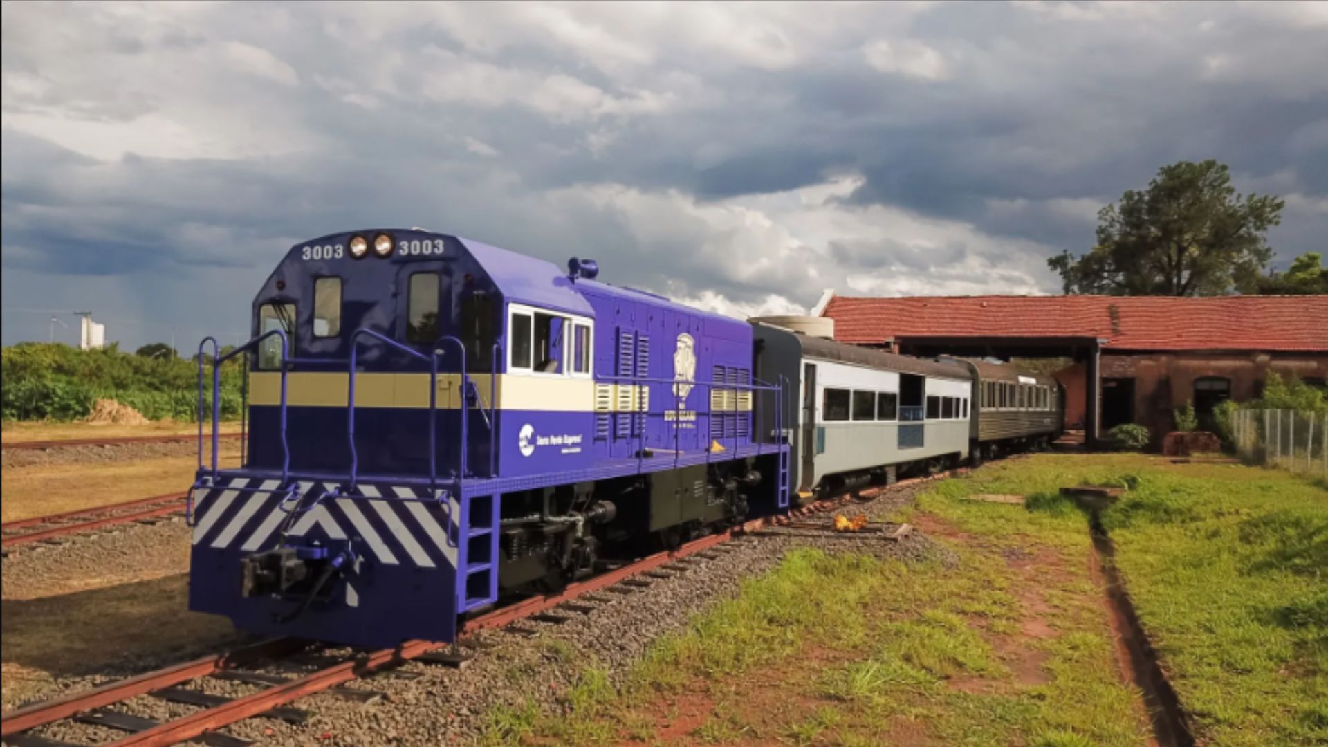 Trem noturno leva foliões para festa de Carnaval sobre trilhos em SP, neste sábado (1)