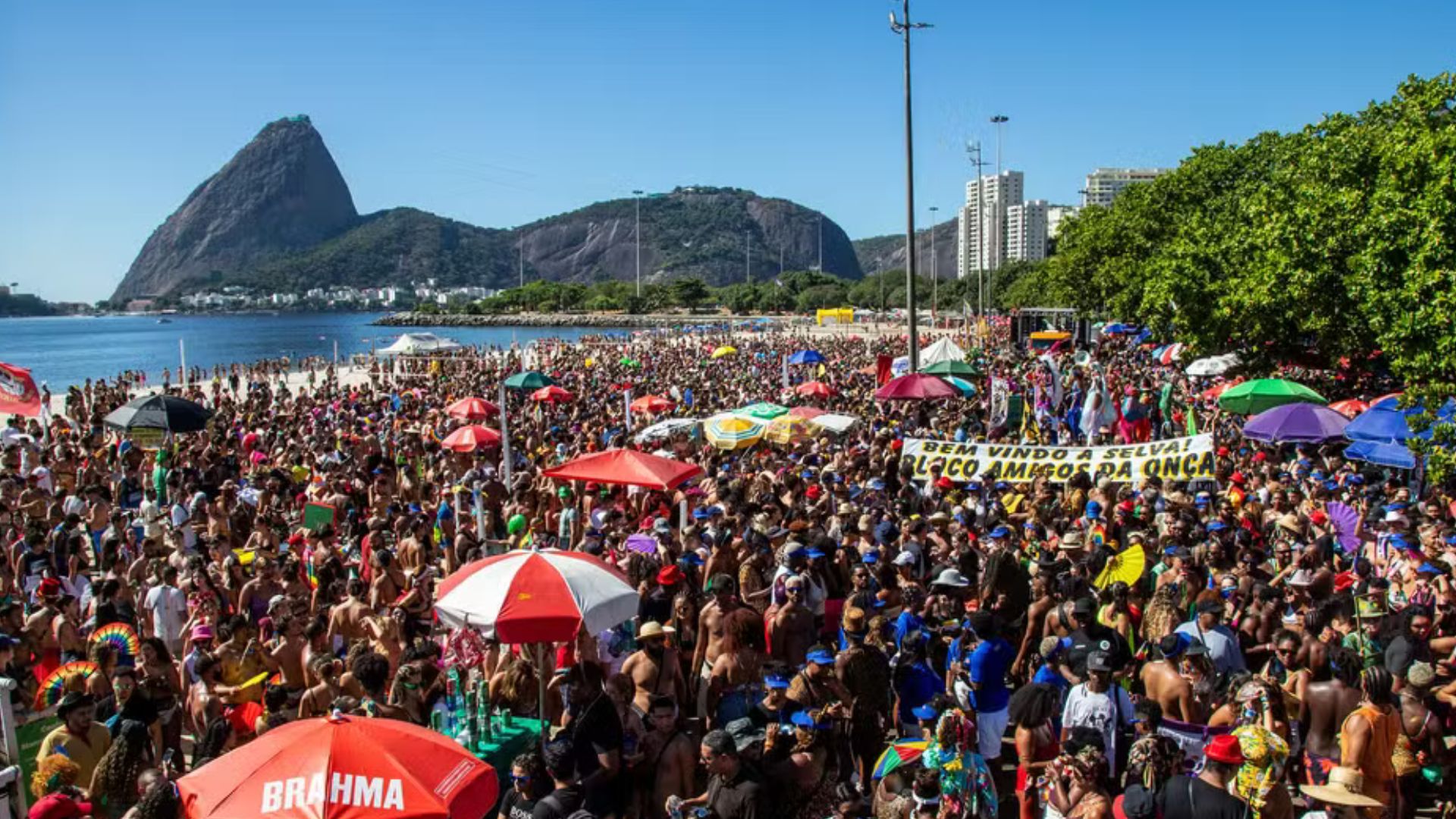 Carnaval do Rio atrai mais de 8 milhões de foliões, aponta balanço da Riotur