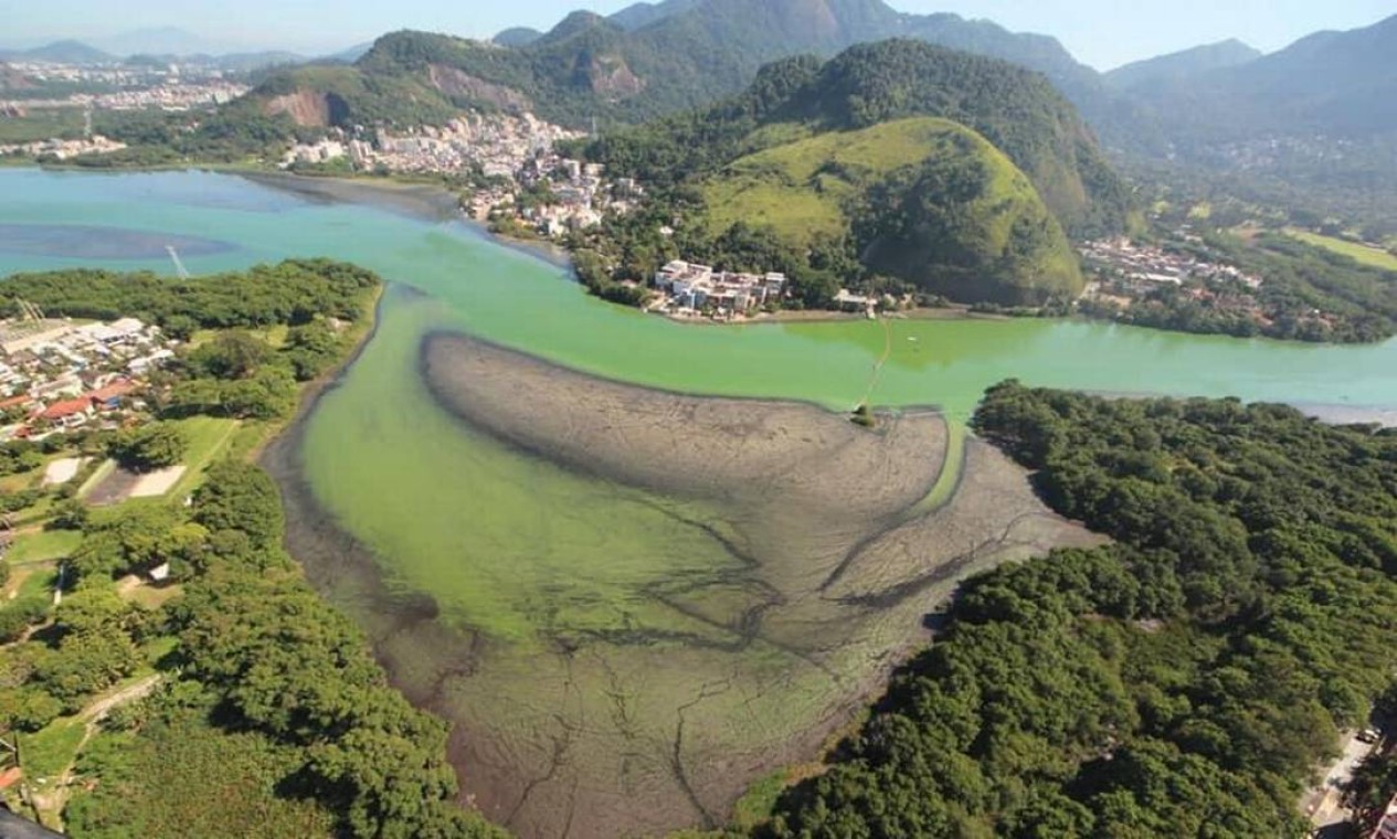 Poluição: vistoria encontra 50 sofás e poltronas descartados na Lagoa da Tijuca