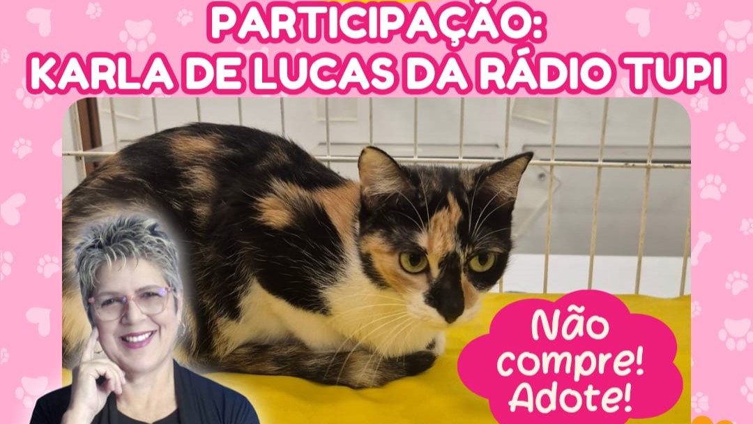 Campanha de adoção de animais acontece neste sábado (15), no Madureira Shopping