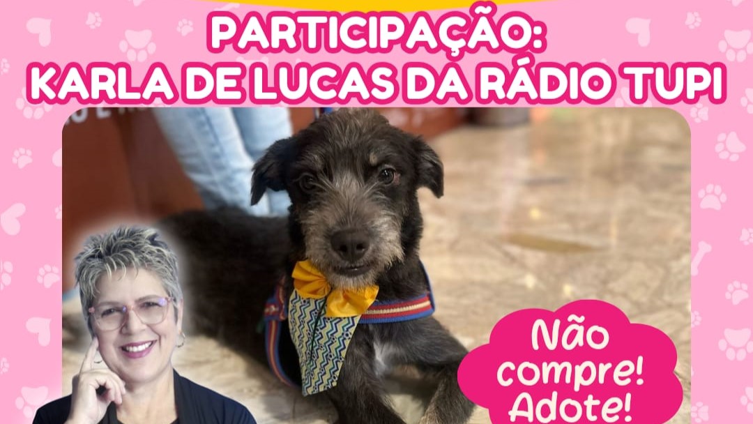 ONG Bichinho Feliz realiza campanha de adoção de cães e gatos neste sábado (22) em Olaria