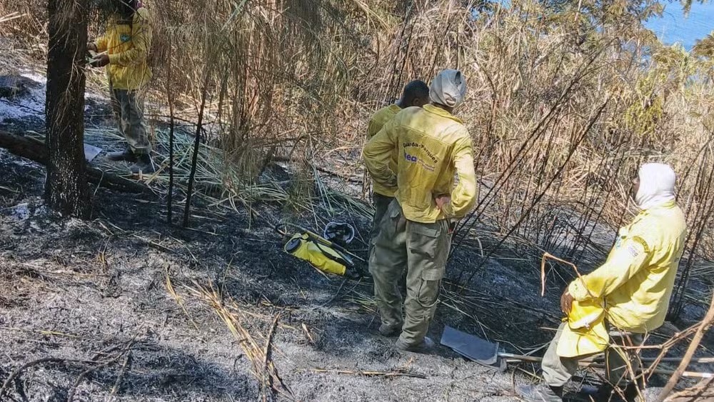 Influenciadores são alvo de buscas por incêndio florestal na Prainha, Zona Oeste do Rio