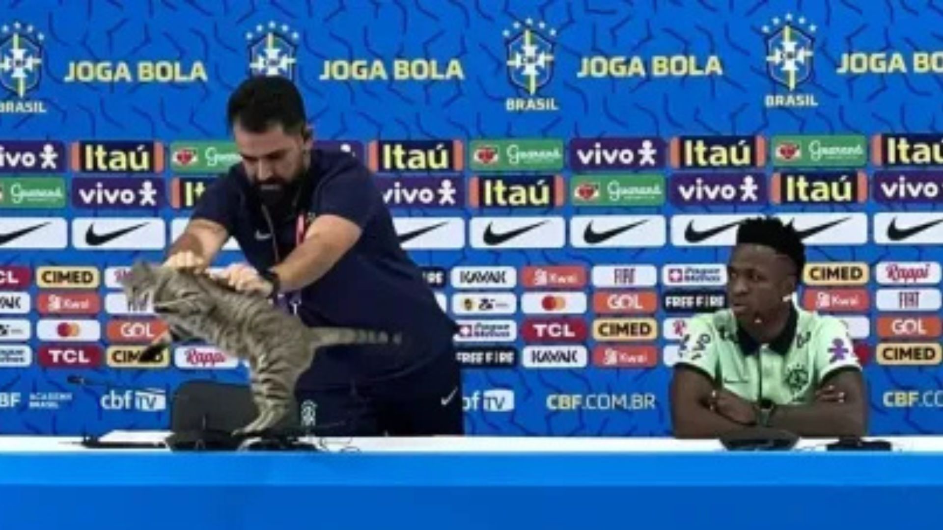 Corinthians contrata assessor que arremessou um gato em coletiva de imprensa