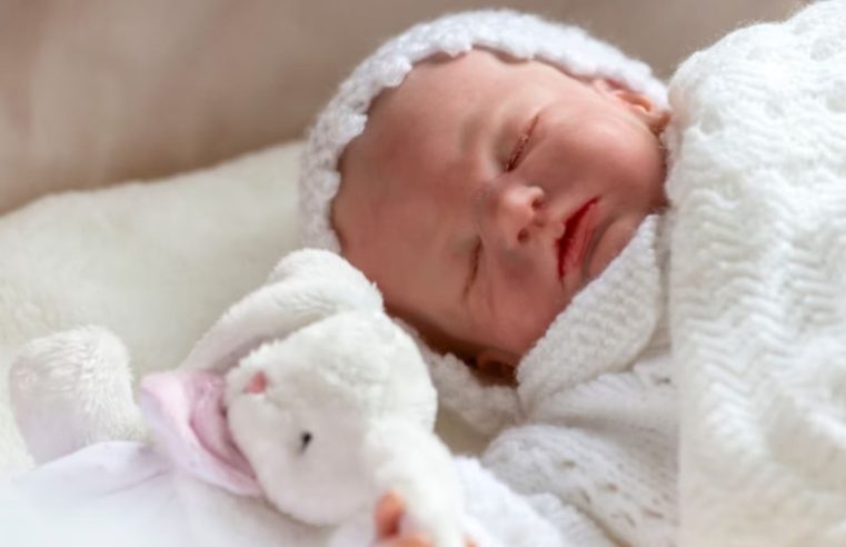 Alerj analisa projeto de lei que busca apoio psicológico para pais e mães de bebês reborn