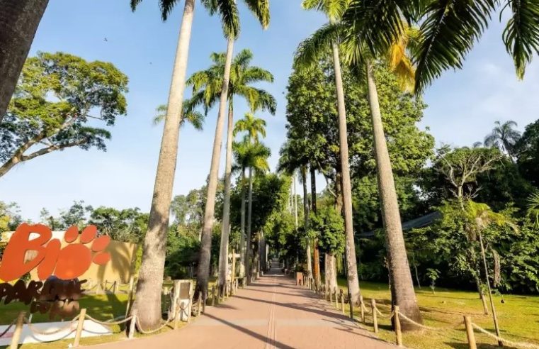 BioParque do Rio oferece entrada gratuita para mães até 15 de maio