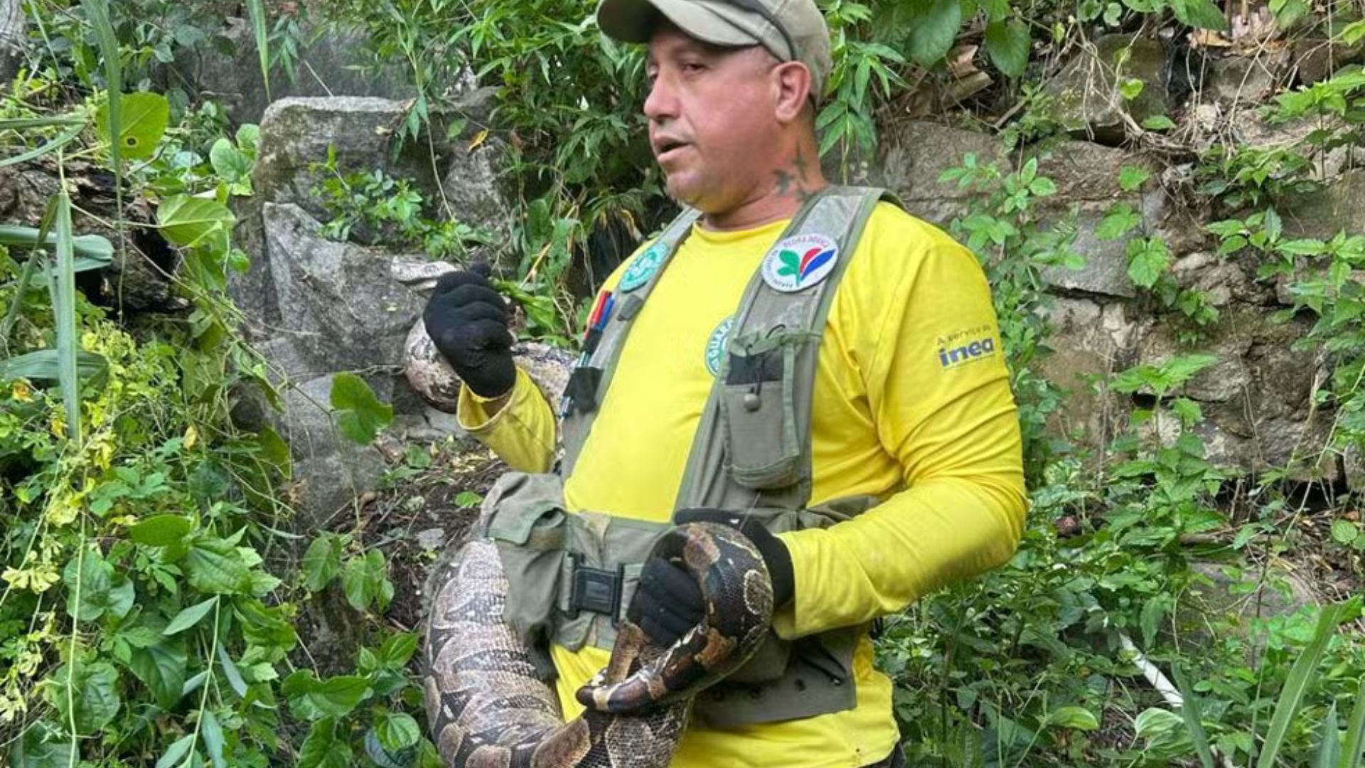 Jiboia é resgatada em área residencial de Bangu, Zona Oeste do Rio