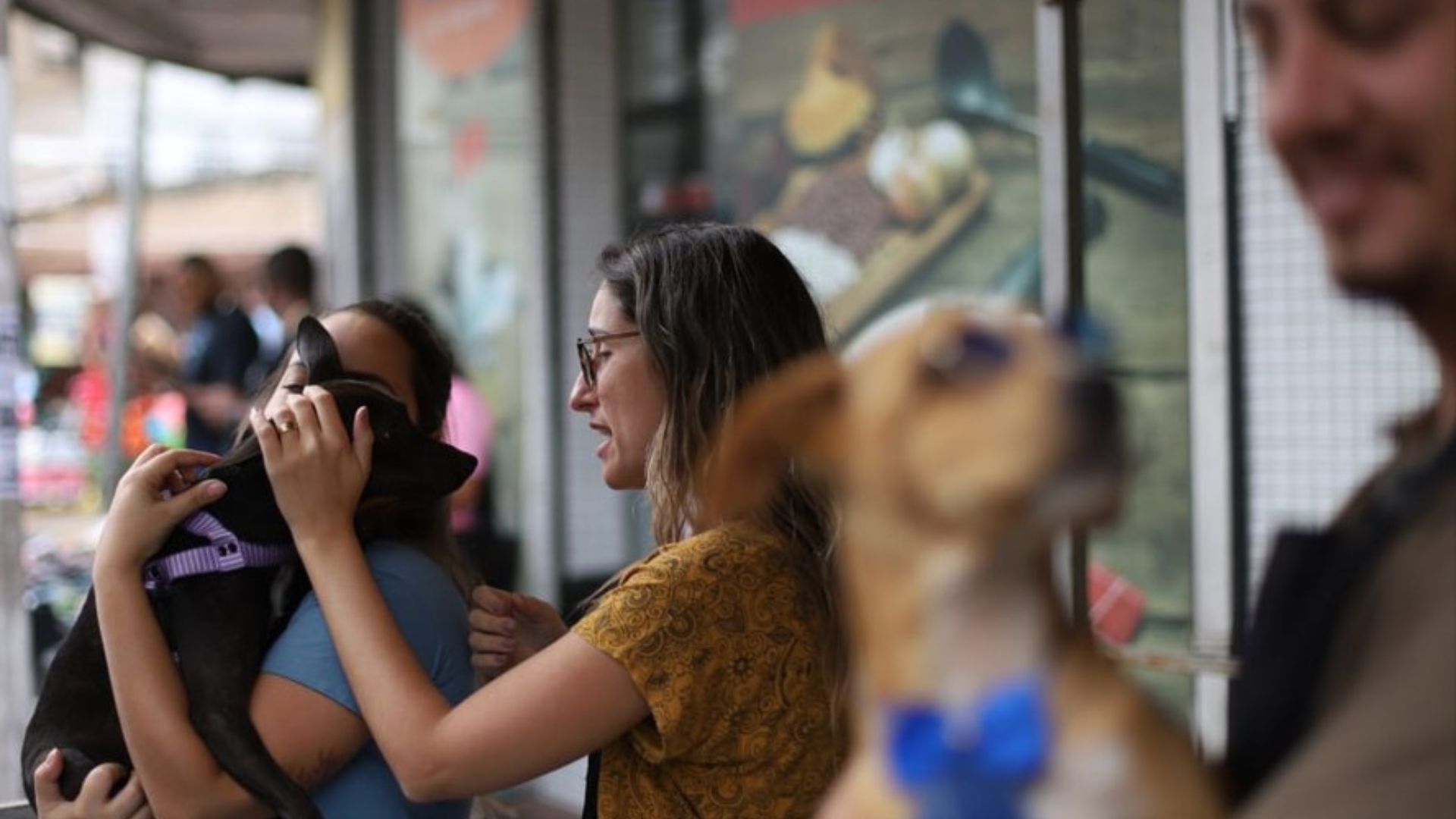 Governo do RJ propõe abono de faltas para servidores que cuidam de pets doentes