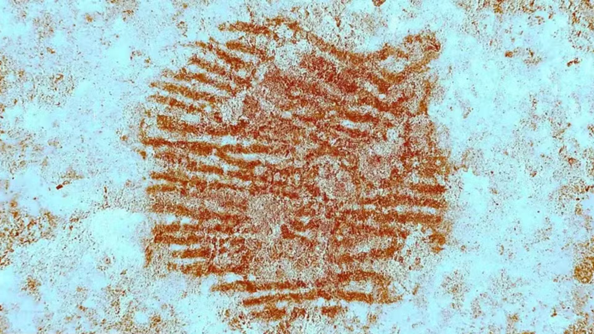 Impressão digital mais antiga do mundo revela lado artístico de neandertais