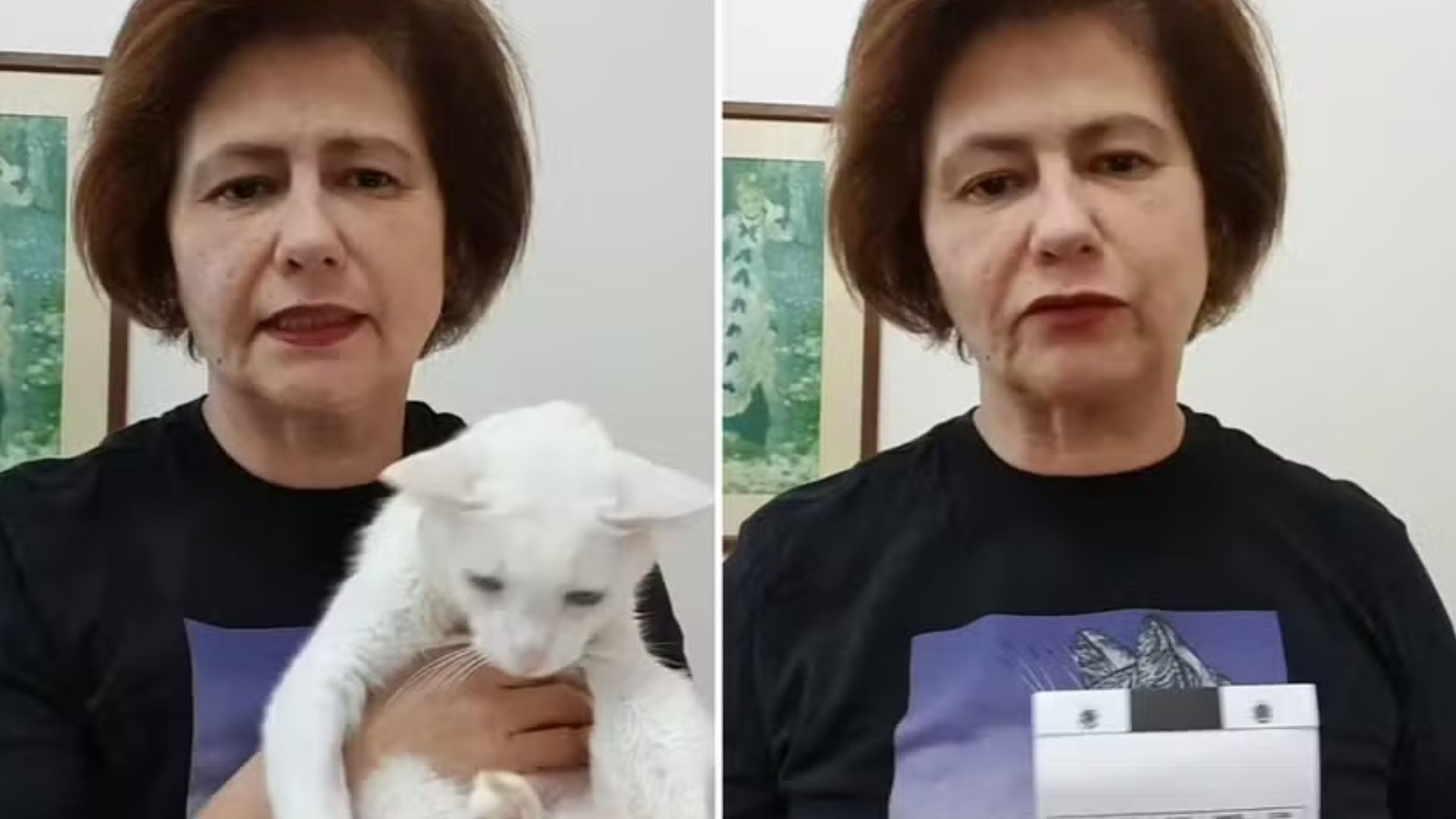 Narjara Turetta faz rifa solidária para pagar cirurgia de gato de estimação: ‘Não está fácil pra ninguém’