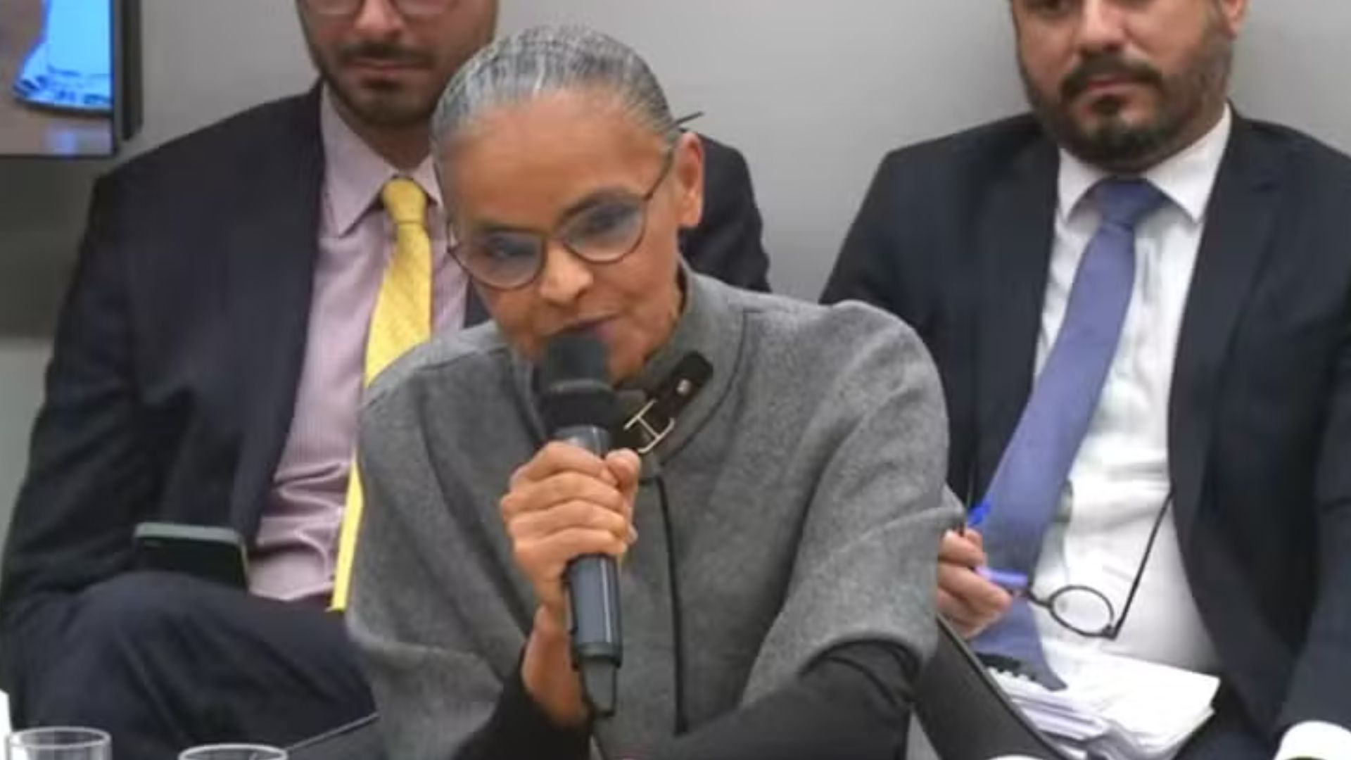 Marina Silva é alvo de novos ataques em audiência na Câmara sobre desmatamento e queimadas