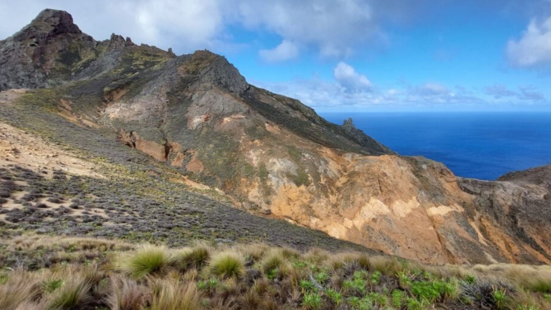 Ilha da Trindade apresenta sinais de recuperação após décadas de degradação ambiental