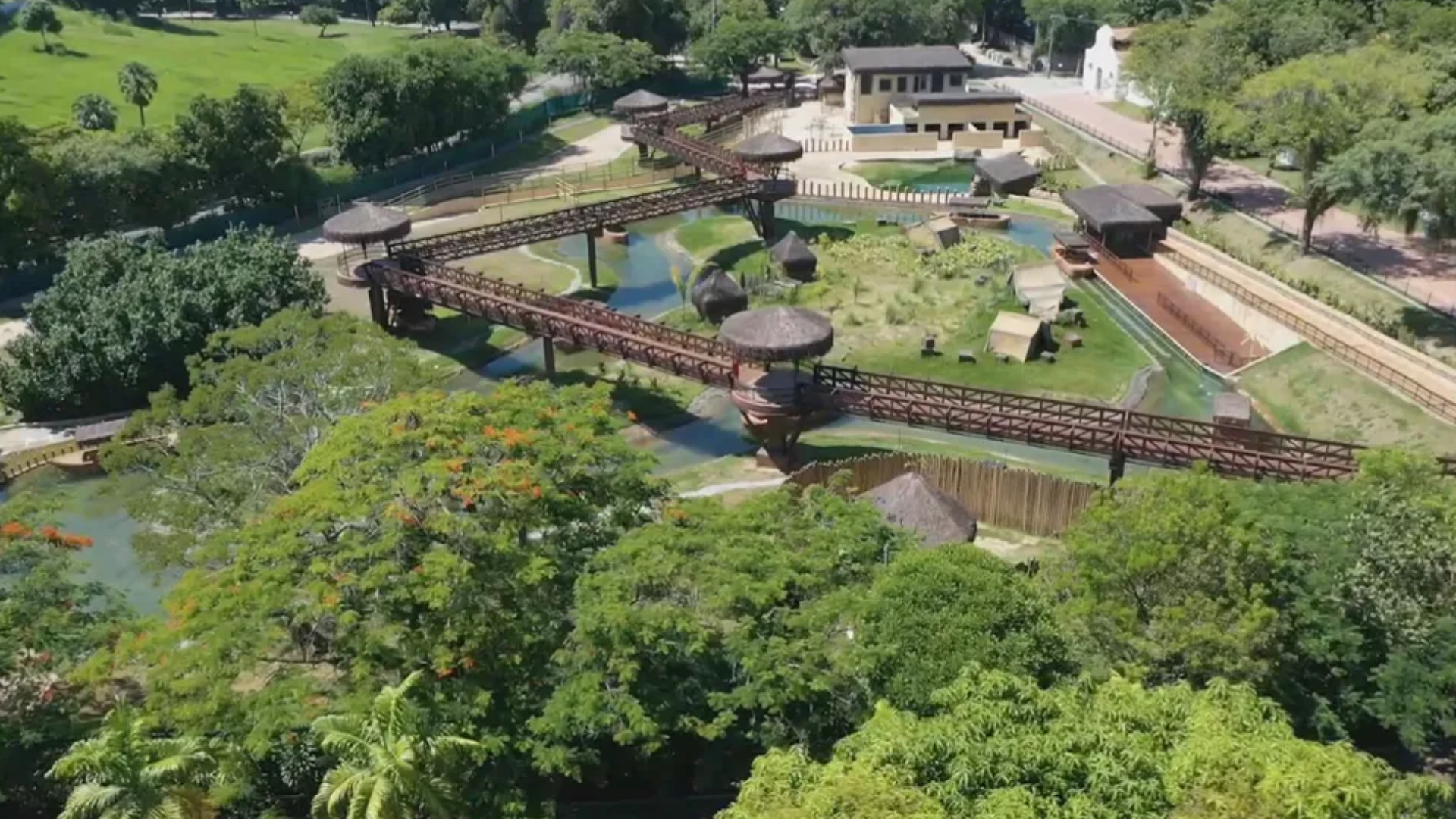 BioParque do Rio reabre após confirmação de primeiro episódio de gripe aviária em aves domésticas